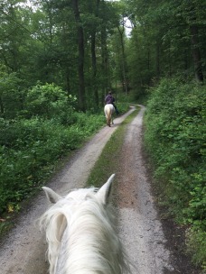 Der Ritt zum Abschied zur Weide, mit dem ersten Pony welchem ich einen Start in das Leben als Reitpferd gegeben habe...